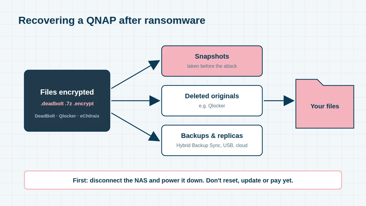 Diagram of QNAP ransomware recovery: after an attack by DeadBolt, Qlocker or eCh0raix, data may be recovered from snapshots, deleted original files or backups