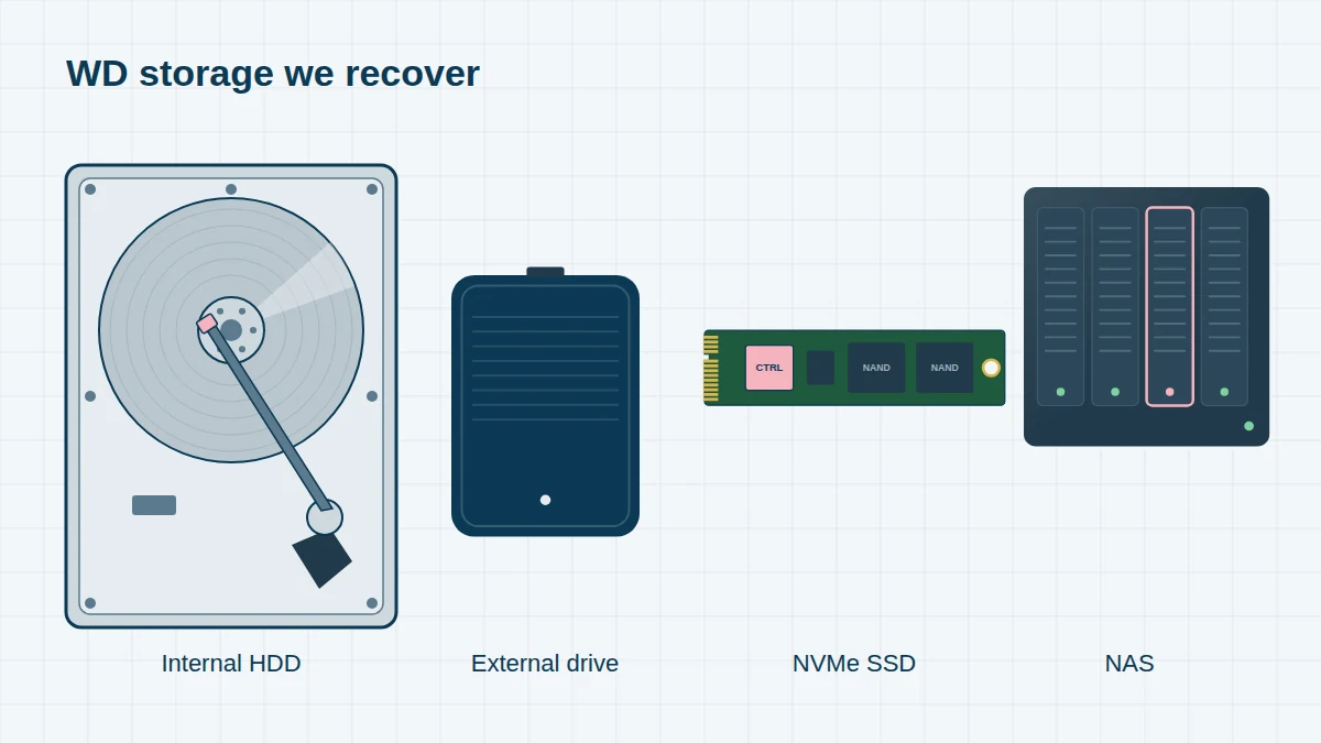 Illustration of the four types of WD storage we recover: an internal 3.5-inch hard drive, a portable external drive, an M.2 NVMe SSD and a four-bay NAS