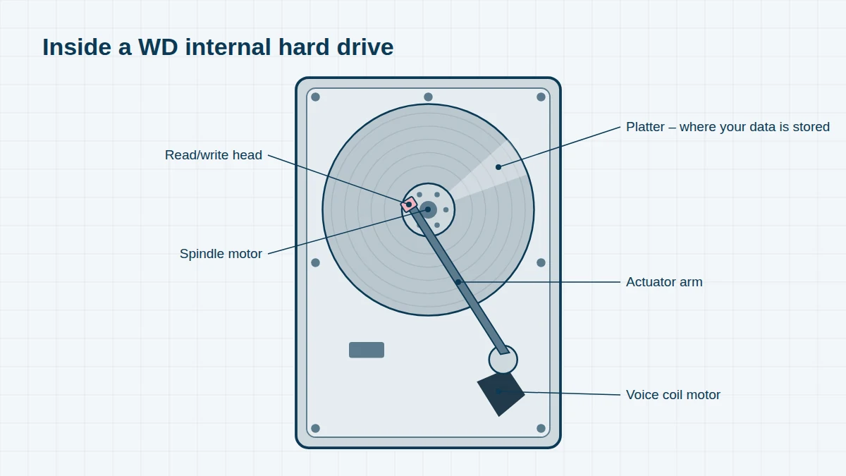 Illustration of a 3.5-inch internal hard drive with the lid removed, showing the platter, spindle motor, actuator arm, voice coil and read/write head