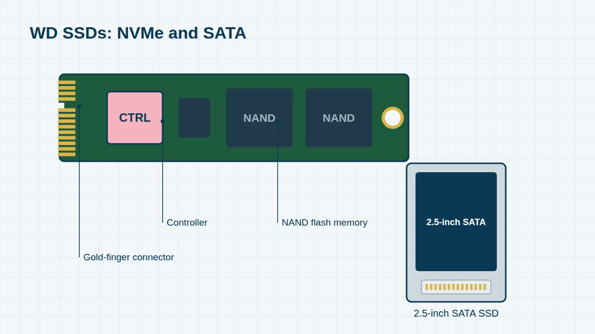 Illustration of an M.2 2280 NVMe SSD with controller and NAND chips, and a 2.5-inch SATA SSD
